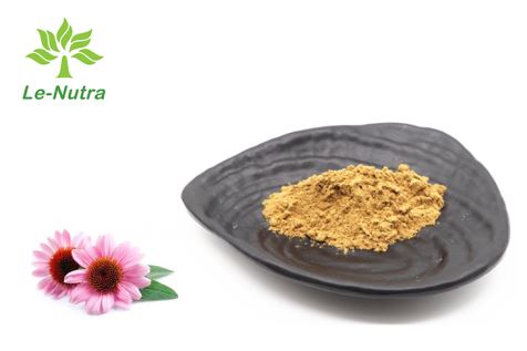 Výťažok z prírodného echinacea purpurea