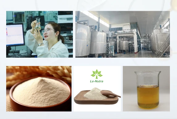 Hydrolysed Corn Protein Powder